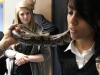 Students with royal python
