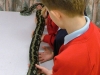 Children handling python