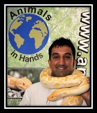 Animal Man Birmingham - Animals in Hands
