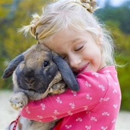 Animals in Hands Animals in Hands